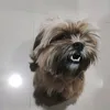 snuuznuu