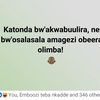 usershiba99