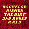 bachelordishesthedirt