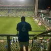 faelx__17