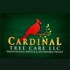 thomascardinal3