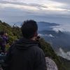 editor_alfa