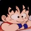 dbz_fannn13