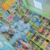 hafizu_boss