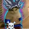rosavilleda24