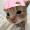 nq_trink