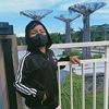 dafa.dafa036