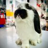 taro_s_tr🐰🩶