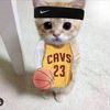 .lebrons_