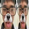 ttrustdaviss