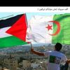 mohammad2594