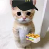 giuku.tiktok