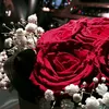 ioewwe