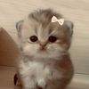 lana_omar_ababneh