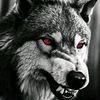 nadjmou15