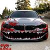 azcars19