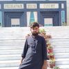 bahararmani960