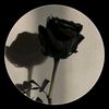 useryprupr3i9b