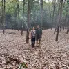 phamthinhan_0