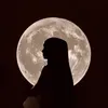 sunoosnose