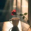 dy8tfy7blnia