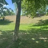 petitpikachu_123