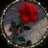 user8108623343503