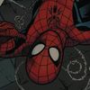 t0mss.spider