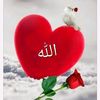 abduabdu5332