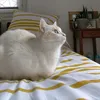 chatperle