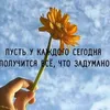 user6323009293630