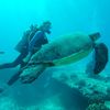 scubadiving43