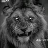 emperoremperor163