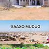 saaxo.mudug