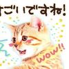 jiajoema