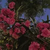 user5010405