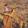 majed_asy