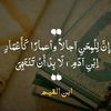 nohafathy80
