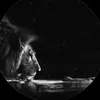 gean_rlk77