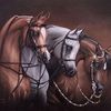 عـبدالمجيدI مربط الفيروز🐎