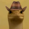 thedougbiff