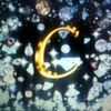 cocothebest108