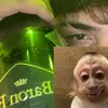 tiziiih