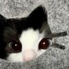 _watermel0nsz9