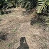 pulau_bangka_belitung05