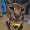 gravex_1