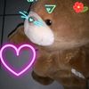 bear_8345