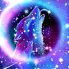 wolffromthestars