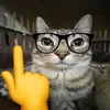 kittttyy_0