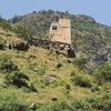 جمال الطبيعه